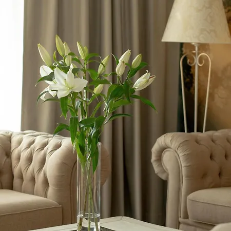 Juvena Wellness & (adults Only)