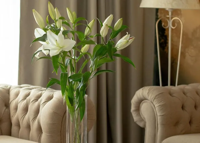 Juvena Wellness & (adults Only)